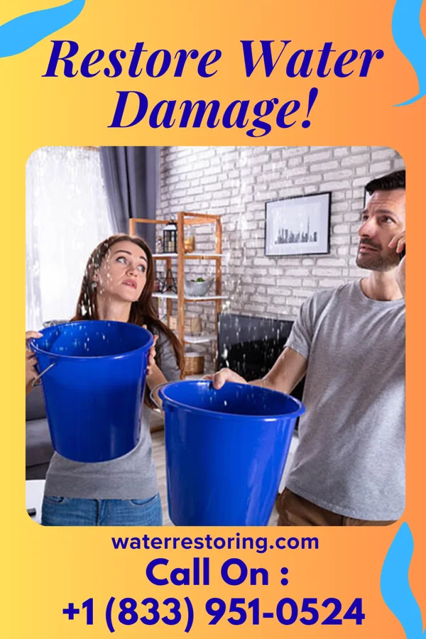water restoration Platinum Water Damage Team Tab