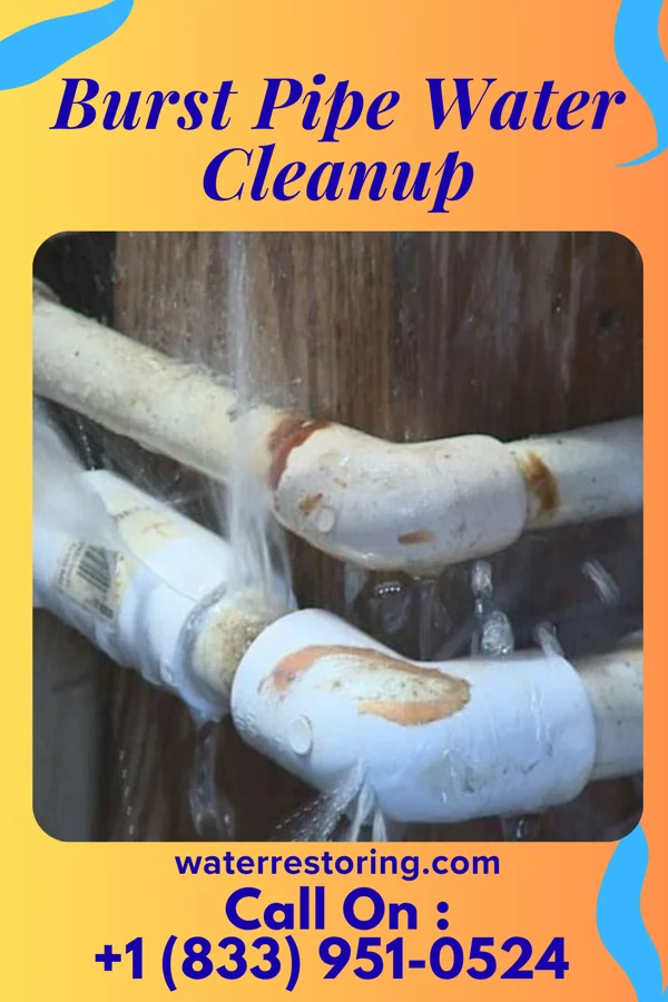 Burst Pipe Water Cleanup in Tab, IN