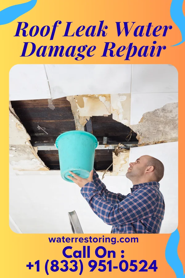 Roof Leak Water Damage Repair in Tab, IN