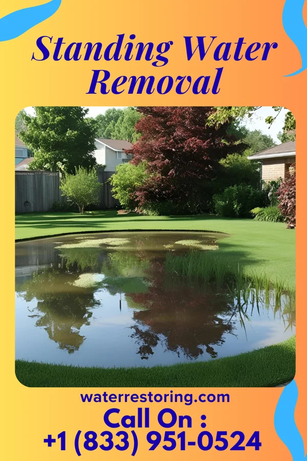 Standing Water Removal in Tab, IN